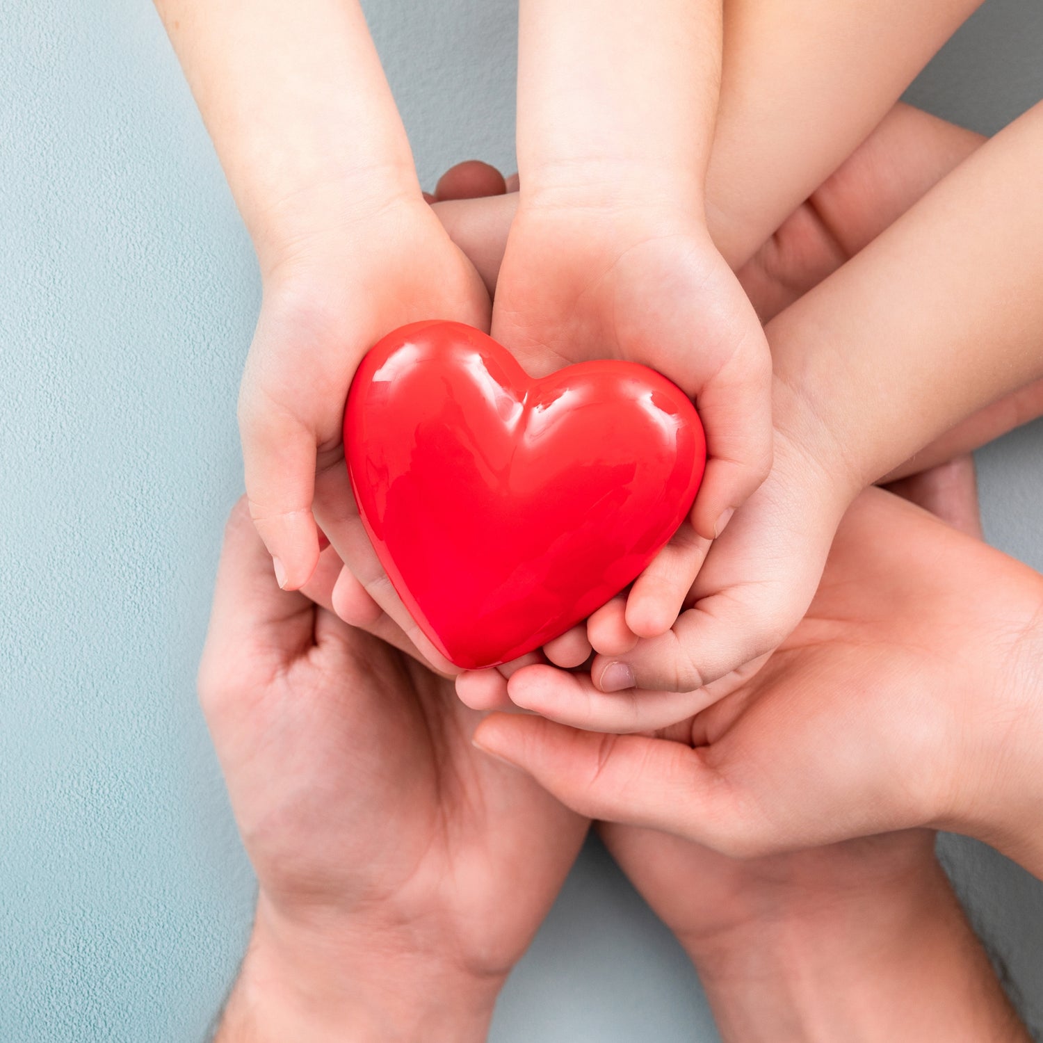 Red heart held by hands against a light blue background