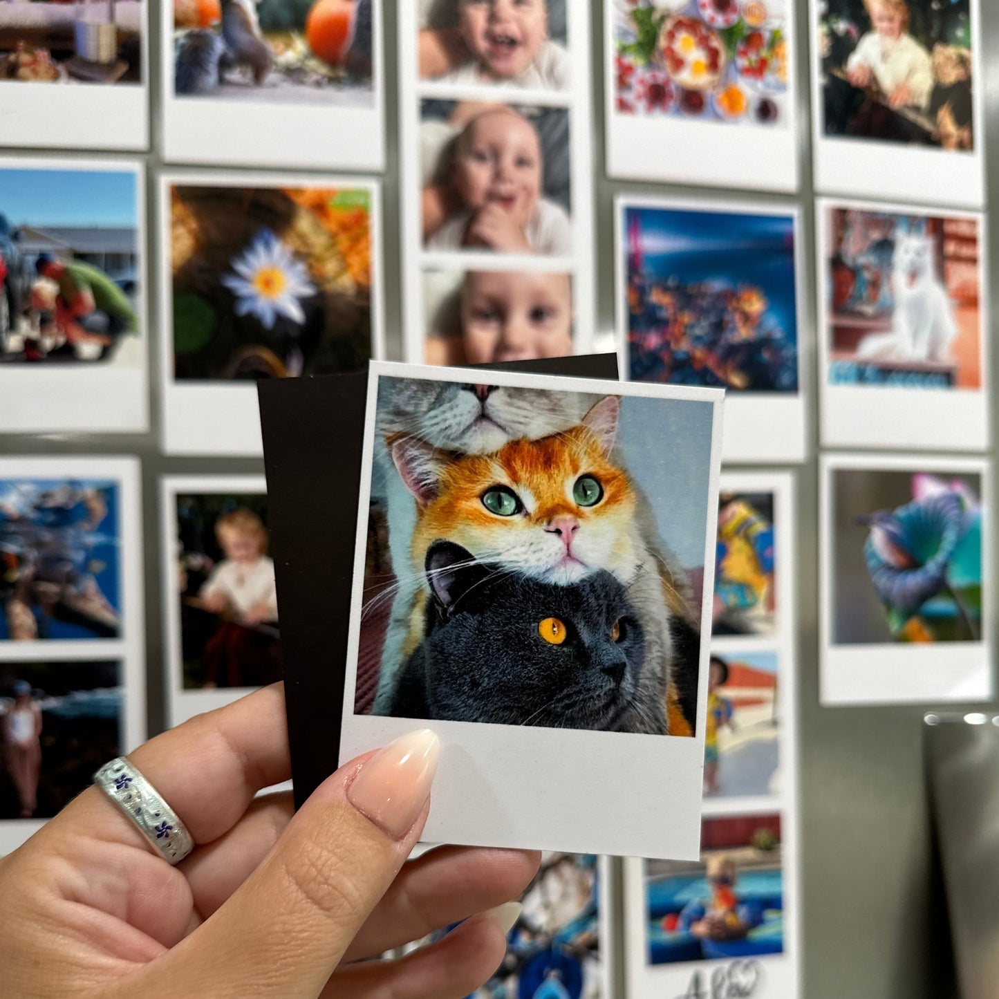 Person holding a custom polaroid-style photo of three cats against a fridge of other photos.