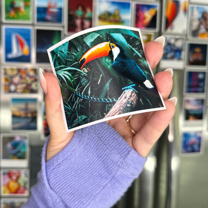 Custom Photo Magnets