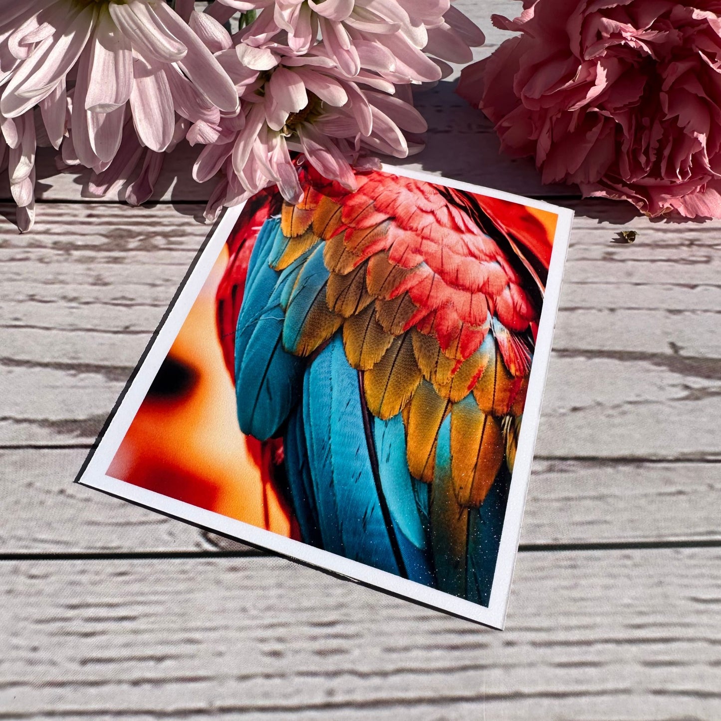 Custom Photo Magnets