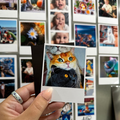Person holding a custom polaroid-style photo of three cats against a fridge of other photos.