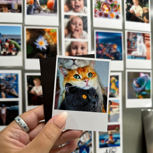 Person holding a custom polaroid-style photo of three cats against a fridge of other photos.